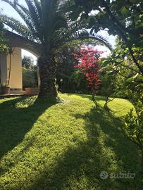 Villa singola - Deiva Marina