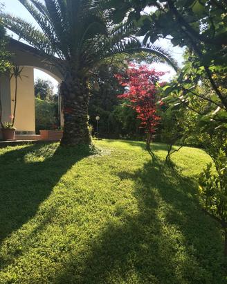 Villa singola - Deiva Marina