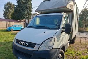 Iveco daily 3.0 td TRASPORTO CAVALLI motore ok