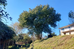 Rustico con terreno a Napoli