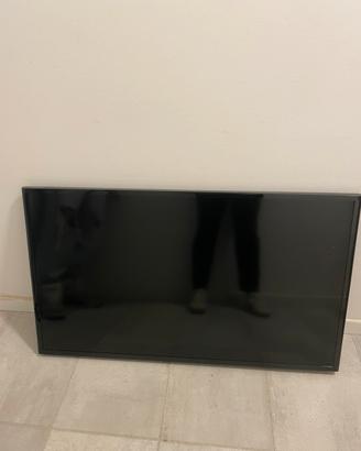 Display professional Samsung