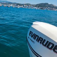 Ellas 490 motore evinrude e-tec 30cv 