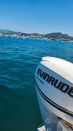 Ellas 490 motore evinrude e-tec 30cv 