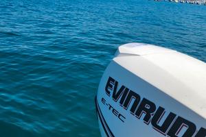 Ellas 490 motore evinrude e-tec 30cv 