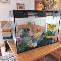 Acquario da 100 litri