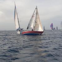 Barca a vela Ziggurat 916