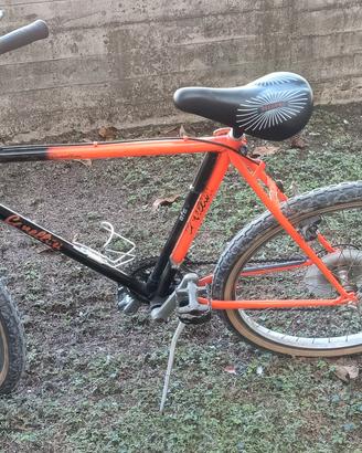 Bicicletta Mountain Bike Canellini storica