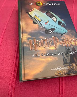 Libro Harry potter