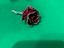 Immagine 4