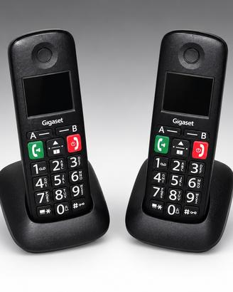 Gigaset E290 Duo - 2 cordless con basi