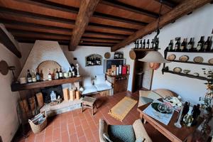 Tenuta agricola in campagna Bolgheri