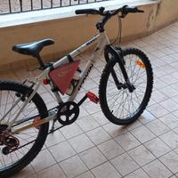 Bicicletta MTB 24