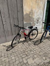 Bicicletta
