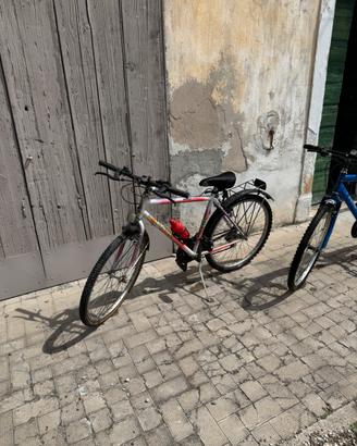 Bicicletta