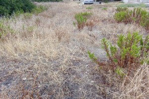 VENDITA di terreno e casa