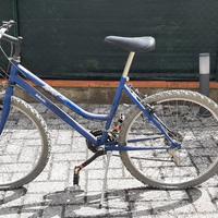 Bicicletta Donna diametro ruota 65cm