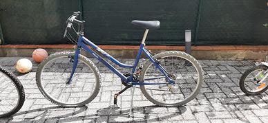 Bicicletta Donna diametro ruota 65cm