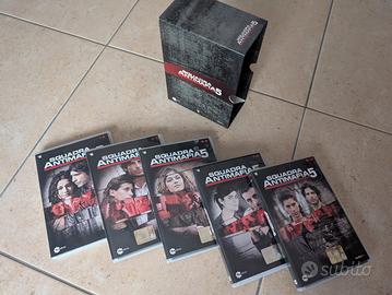 DVD Squadra Antimafia 5