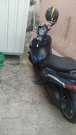  Beverly 250