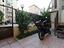 Immagine 11