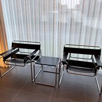 ALIVAR 134 coppia di WASSILY B3