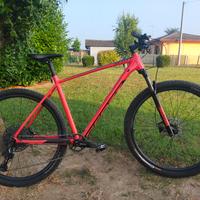 Mtb taglia XL Scott