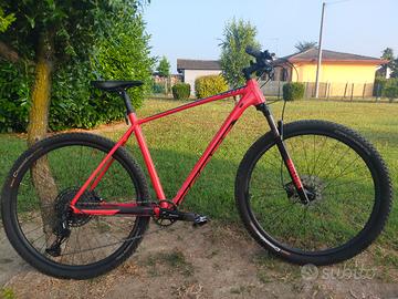 Mtb taglia XL Scott