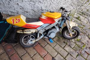 minimoto