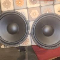 woofer da 25 cmt