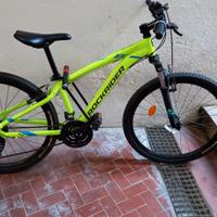 bici mtb
