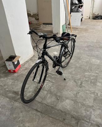Bici muscolate marca Carraro da passeggio