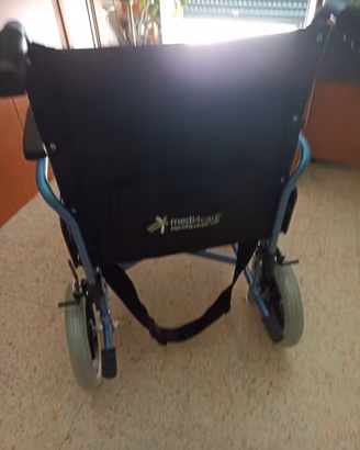 Sedia a rotelle
