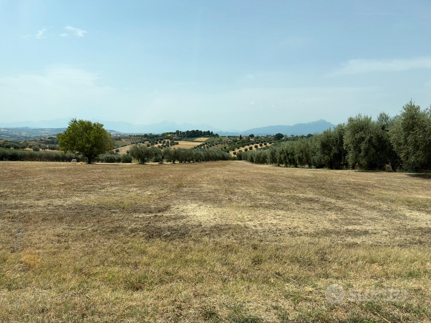 Terreno agricolo pianeggiante - Vista 4