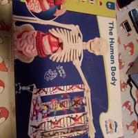 scatola Clementoni The Human body