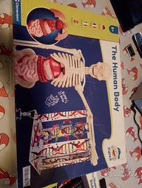 scatola Clementoni The Human body