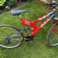 BICICLETTA ragazzo: 10-14 anni