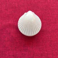 Scatola smaltata in Porcellana Modello Esclusivo D