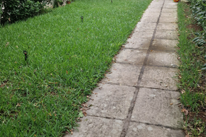 Victor Village _ Ugento