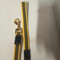 Accessori vari cane