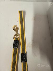 Accessori vari cane