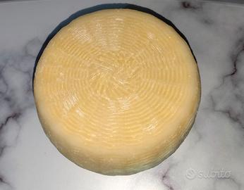 Caprino