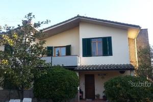 Colline nel Chianti Sezzate40