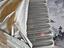 Immagine 6
