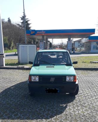 Fiat Panda i.e.cat Young