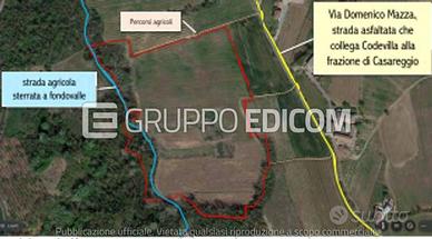 Terreno, Codevilla.