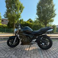 Yamaha FZ6