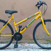 bici MTB 26"