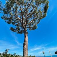 Multiproprieta in liguria