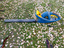 Immagine 4