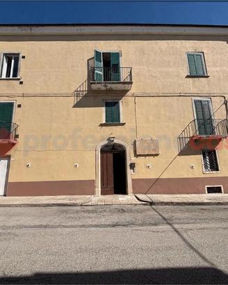 Stabile/Palazzo Palata [1026VRG]